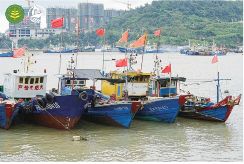 海上“千万工程”让渔民生活作业大变样